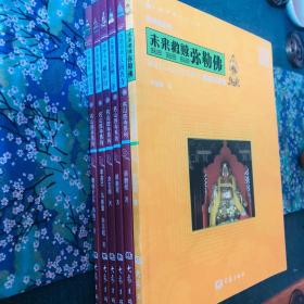 稀缺溢价 中国佛教文化之旅名山胜寺系列全6册 F
