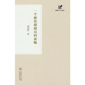 一个被思想照亮的夜晚