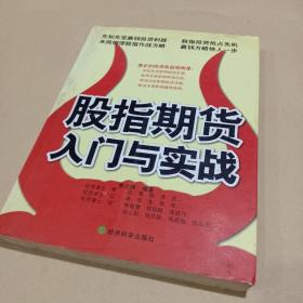 股指期货入门与实战 /李忠祥 9787505864702