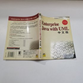 Enterprise Java with UML中文版