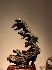 灵璧石【卧云】 高63宽37厚18 张照（1691～1745），字得天，号泾南，亦号天瓶居士，江南娄县人。康熙四十八年进士。清藏书家、书法家、戏曲家、书画目录整理者。