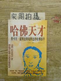 哈佛天才 -