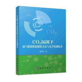 全新正版图书 CO2氛围下油气燃烧数值模拟方法与光学检测技术张引弟中国科技出版传媒股份有限公司9787030719638