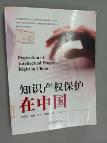 知识产权保护在中国(汉英对照)