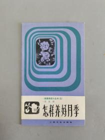 怎樣養好月季