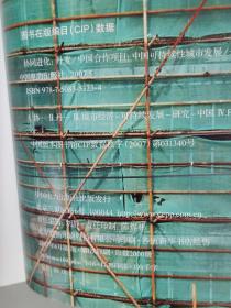 协同进化：中国可持续性城市发展