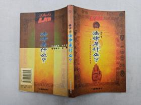 法律是什么？ 二十世纪英美法理学批判阅读；刘星著；广东旅游出版社；大32开