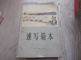 速写范本