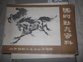 马的动态资料