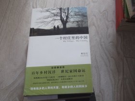 一个村庄里的中国