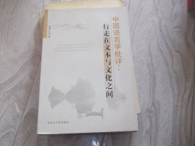 行走在文本与文化之间     中国语言学批评