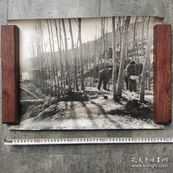 4开巨幅厚照片：1985年，甘肃开展植树造林，图为定西市渭源县小小育林员（马宗华摄影）