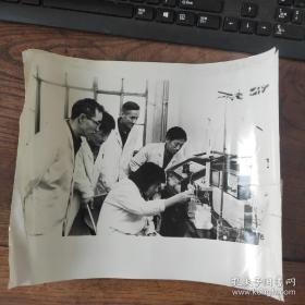 超大尺寸：1982年，中科院上海生化所，在世界上首次完成乙型肝炎病毒无性繁殖