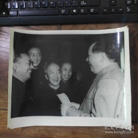 超大尺寸：1956年，毛泽东和出席政协会议的科学家童第周、胡愈之、华罗庚、费孝通在一起