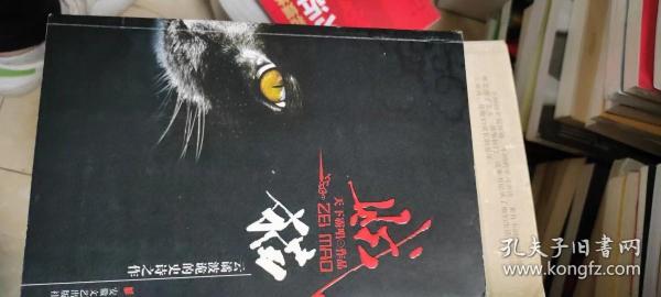 贼猫天下霸唱 著 安徽文艺出版社 2008 10 平装河北画集书店的书店河北省