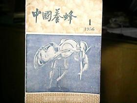 《中国养蜂》1956年第1期
