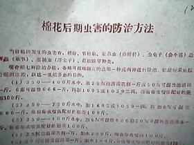 （1963年）襄汾县技术站：棉花后期虫害的防治方法
