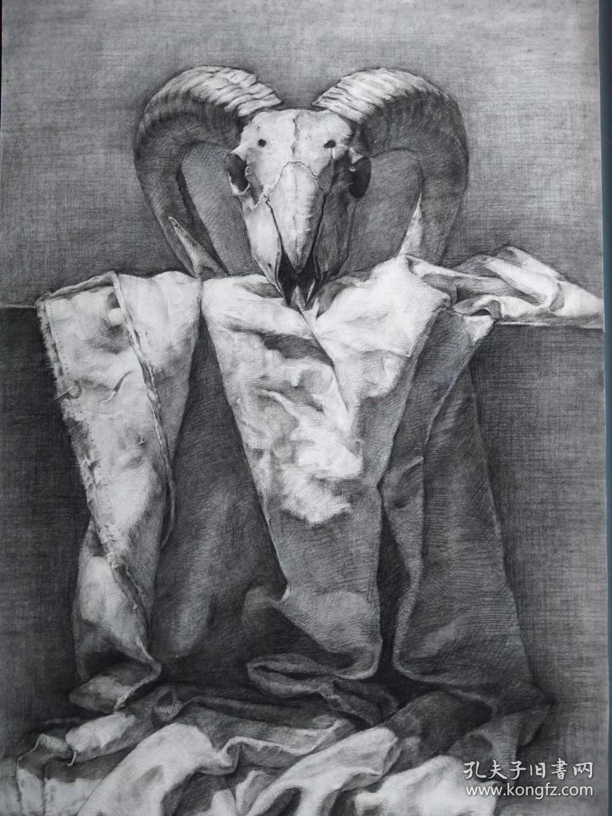 精品素描/写实素描/静物素描 《羊头骨》