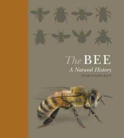 现货The Bee: A Natural History (Natural History)[9781782401070]
