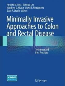 现货 Minimally Invasive Approaches To Colon And Rectal Disease: Technique And Best Practices [9781493915804]