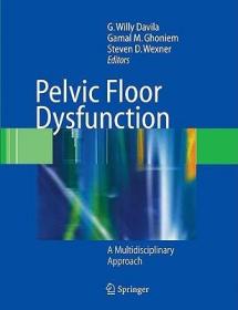 现货 Pelvic Floor Dysfunction: A Multidisciplinary Approach [9781848003477]