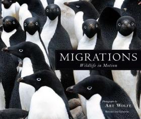 现货Migrations: Wildlife in Motion[9781608877140]