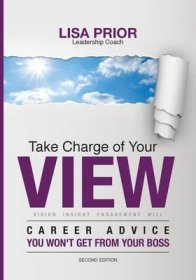 現貨Take Charge of Your VIEW: Career Advice You Won't Get From Your Boss[9780986134227]