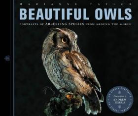 现货 Beautiful Owls: Portraits Of Arresting Species From Around The World (Beautiful) [9781908005977]