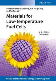 现货 Materials for Low-Temperature Fuel Cells (Materials for Sustainable Energy and Development)[9783527330423]
