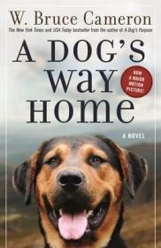 现货A Dog's Way Home (Dog's Way Home Novel)[9780765374660]