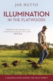 现货Illumination in the Flatwoods: A Season Living Among the Wild Turkey[9781493036967]