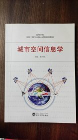 二手正版 城市空间信息学 杜明义 武汉大学出版社 9787307099616