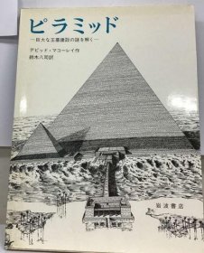 可议价 ピラミッドー巨大な王墓建设の谜を解く 破解金字塔巨大王墓建设之谜18000220