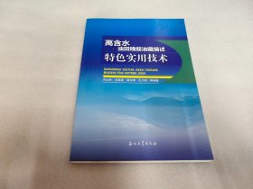 高含水油田精细油藏描述特色实用技术