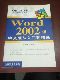 Word 2002 中文版从入门到精通