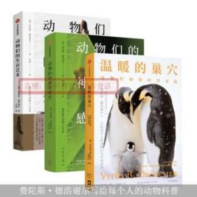 温暖的巢穴