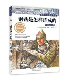 正版F库世界少年文学精选·名家导读本:钢铁是怎样炼成的 北京少