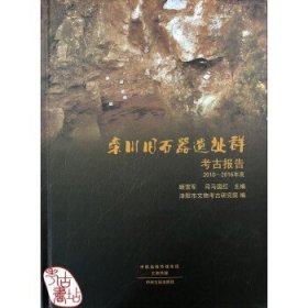 栾川旧石器遗址群考古报告2010-2016年度  9787534875816