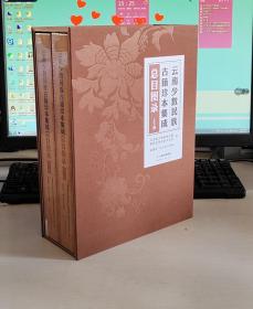 云南少数民族古籍珍本集成总目图录（全2册）