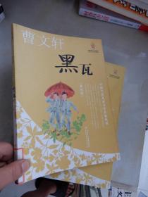 中国当代儿童文学名家丛书（美绘版）黑瓦--曹文轩·