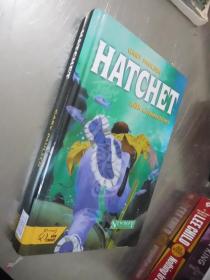 Hatchet: With Connections