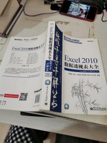 Excel 2010数据透视表大全 无盘 有一点划线