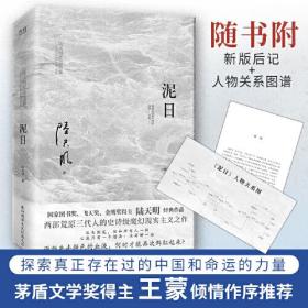 泥日（知名作家陆天明魔幻现实主义突破之作，西北荒原的壮丽家族史诗，他们从未年轻过，也只想活得好一点）