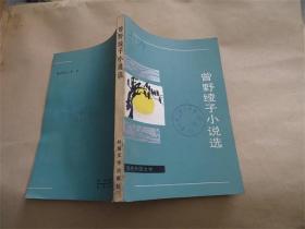 曾野绫子小说选