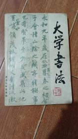 大学书法（复旦大学出版社）【货号：+4-85】私藏书，正版。详见书影，实物拍照