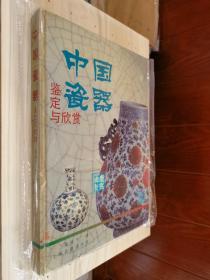 原版现货 中国瓷器鉴定与欣赏