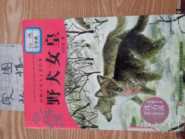 动物小说大王沈石溪