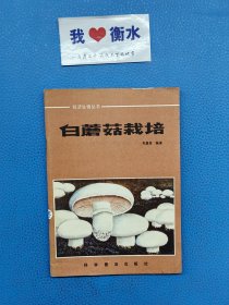白蘑菇栽培