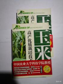 玉米高产优质栽培技术
