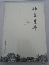 碎玉星斗   孙成中著